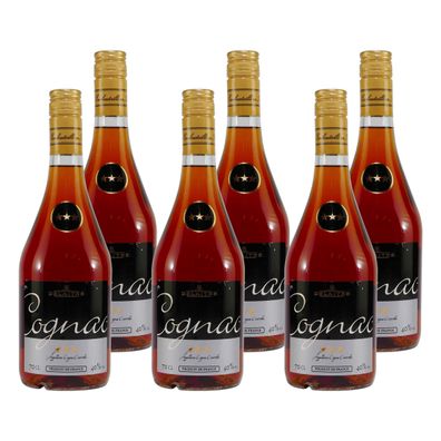 Delaitre Cognac V.S. (6 x 0,7L)