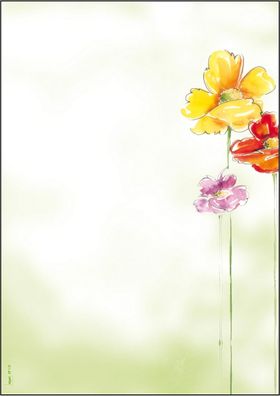 SIGEL Motivpapier DP123 Spring Flowers DIN A4 90 g 50 Blatt