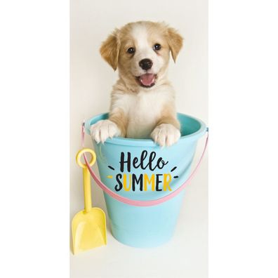 CarbotexJavoli Hundebadetuch Sommer - 70 x 140 cm