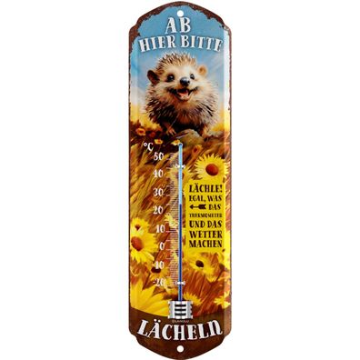 LANOLU Wandthermometer Ab hier bitte lächeln Igel 8x28cm Garten Deko