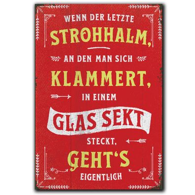 LANOLU Fotomagnet "Strohhalm Glas Sekt steckt" - 8 x 5,5 cm