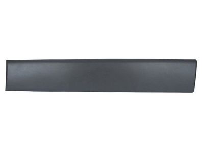 Nissan Primastar 01-13 Lange Seitenleiste hinter der Säule links