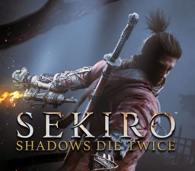Sekiro: Shadows Die Twice GOTY Edition – Steam Account