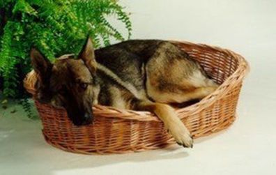 Ruhekorb für Hunde und Katzen Weidenkorb mit Kissen Hundekorb Tierkorb Katzenkorb