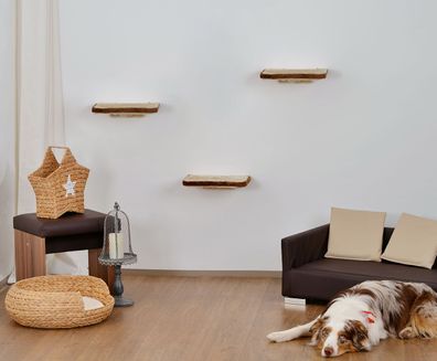 Katzen Kletterwand 3-teilig WALL Katzenmöbel platzsparend stabil für die Wand Plüsch