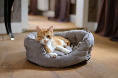 Hundesofa Katzensofa Hundebett Katzenbett kuschelig grau versch. Größen