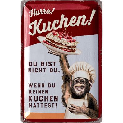LANOLU Blechschild Hurra Kuchen 20x30cm Backen Küche Humor Retro Deko
