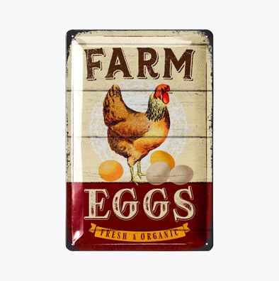LANOLU Blechschild Farm Eggs 20x30cm Hühner Eier Bauernhof Retro Deko