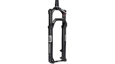 Rockshox Federgabel "Reba Gold Isolator 29 100MM 2P RMT 44 SCHW