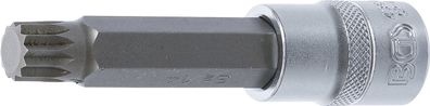 Bit-Einsatz 12,5 (1/2), Innenvielzahn, 100 mm lang, M14