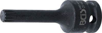 Kraft-Bit-Einsatz, Innenvielzahn, M10, 12,5 (1/2)