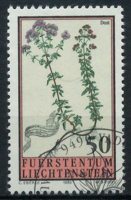 Liechtenstein 1993 Nr 1069 gestempelt SB45D6A