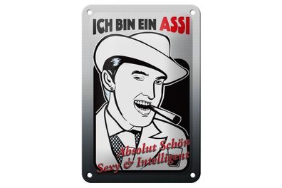 Blechschild ich bin ASSI schön intelligent, 3 vers. Größen, Spruch