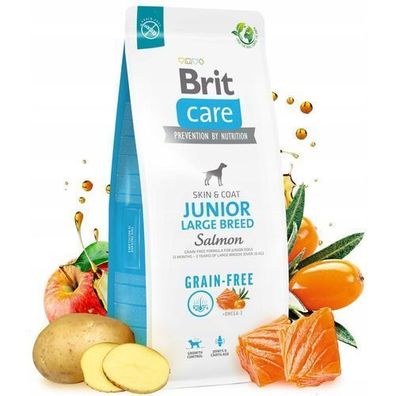 Brit Care Hundefutter getreidefrei Junior Groß Lachs 12 kg