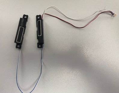 Dell Latitude 5590 Speaker / Lautsprecher Set 00YYM2