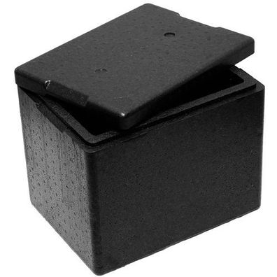 Thermobox mit Deckel für Lebensmittel & Medikamente, 395 x 295 x 320 mm, 20 l