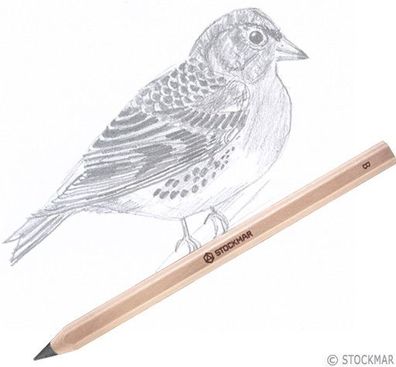 Stockmar Bleistift B 6-eckig 19 Stifte FSC® 100