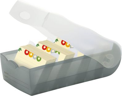HAN Lernkarteibox Croco, einfach Vokabeln Lernen mit 5-Fächer-Lernsystem, DIN A8 Kart