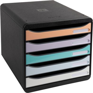 Exacompta 3094296D Premium Ablagebox mit 5 Schubladen für DIN A4+ Dokumente. Belastba