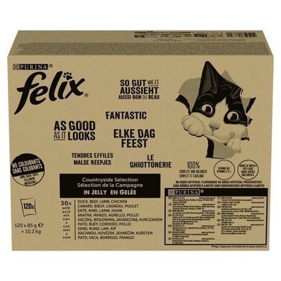 PURINA FELIX Fantastic Mix Country Flavors 120x85g