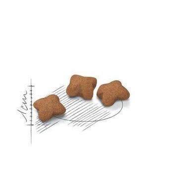 ROYAL CANIN Kitten sterilisiert 3,5 kg