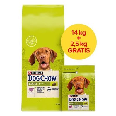 PURINA Hundefutter für ausgewachsene Tiere, Lamm, 14 x 2,5 kg