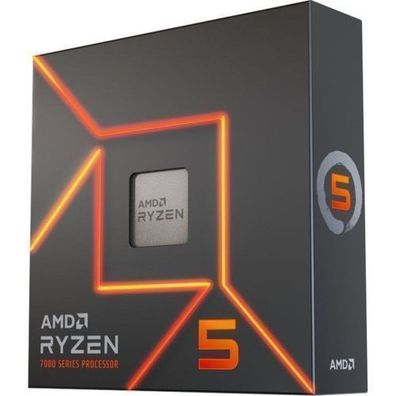 AMD Ryzen 5 7600X Prozessor