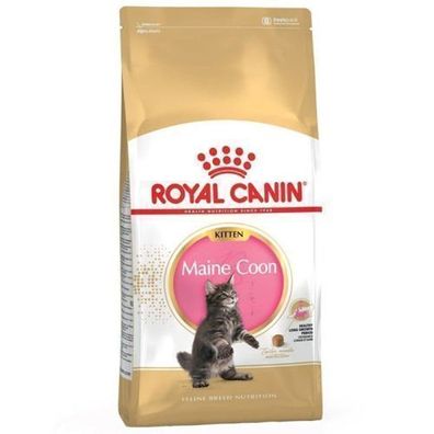 FBN Kitten Maine Coon 4 kg