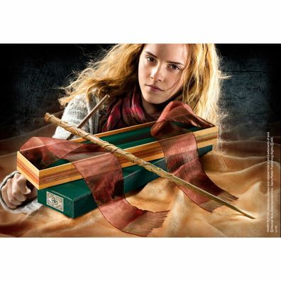 Harry Potter Hermine Granger