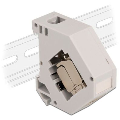 Delock DELOCK Hutschienenadaptermit Keystonemodul RJ45