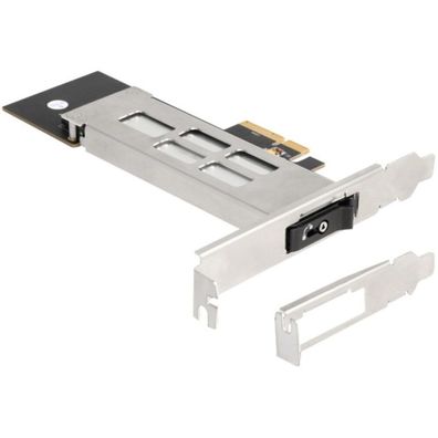 DeLock Wechselrahmen PCI Express Karte für 1 x M.2 NMVe SSD