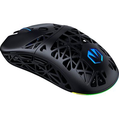 Liv Plus Wireless (Schwarz, Inkl. Ladestation)
