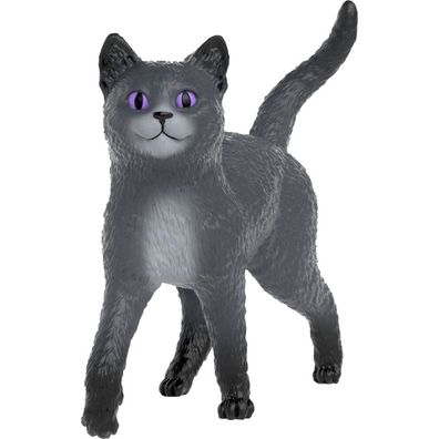 Schleich Sdmt Kater 14912