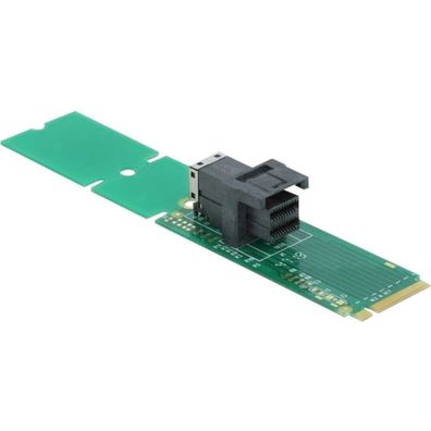 Delock DELOCK Adapter M.2 Key M zu SFF-8643 NVMe 22110 / 2280
