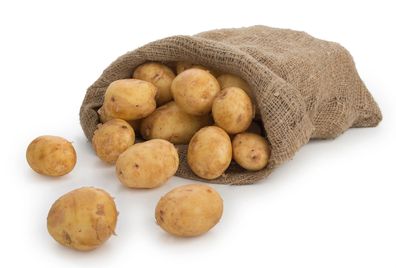 Speisekartoffel Gala 25kg