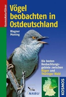 Vögel beobachten in Ostdeutschland: Die besten Beobachtungsgebiete zwischen Rüge