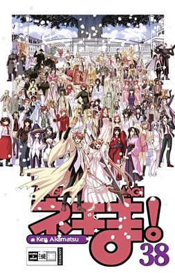 Negima! Magister Negi Magi 38