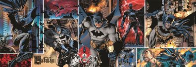 DC | Batman: Beschützer Gothams