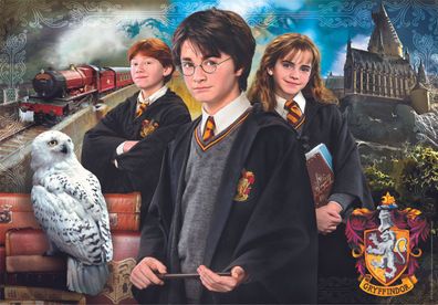 Harry Potter Zaubererschüler