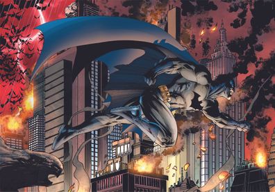 Batman - Beschützer Gothams