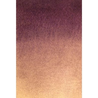 Bresser - F004569 - Hintergrundstoff mit Fotomotiv 80 x 120 cm - Lila Beige