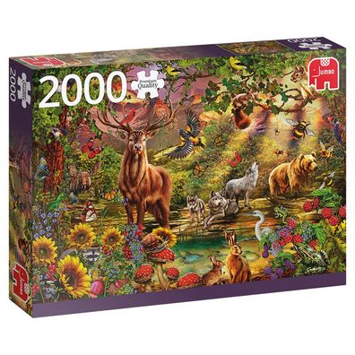 Jumbo Spiele, Magischer Wald bei Sonnenuntergang, 2000T Puzzle