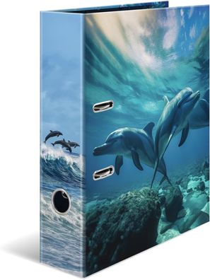 HERMA Ordner A4 Delfin, 7 cm breit, Kinder Ringordner mit Tier Motiv, bunter Aktenord