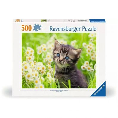 Puzzle - Kätzchen in der Wiese - 500 Teile