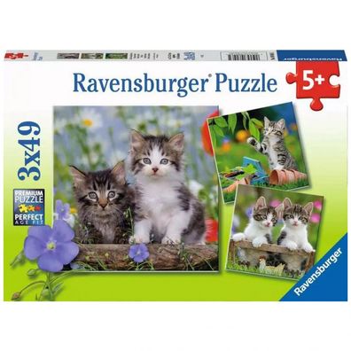 Puzzle - Süße Samtpfötchen - 3 Kinderpuzzle