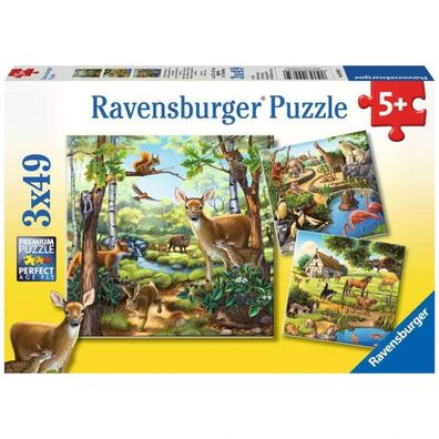 Puzzle - Wald-/Zoo-/Haustiere - 3 Kinderpuzzle