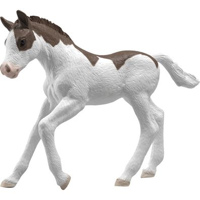 Schleich Sammelfohlen Dipper