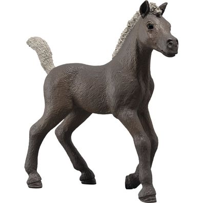 Schleich Sammelfohlen Darcy