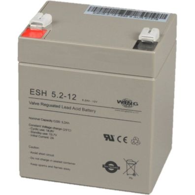 Bluewalker USV Batterie Powerwalker WING ESH 5.2-12 5Ah/12V