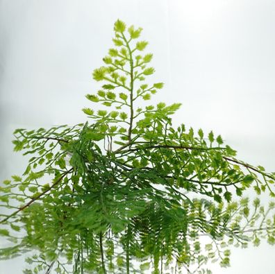 DEKO® Florale Kunstblumen Farn Schnitt-Grün - Kunstblumen